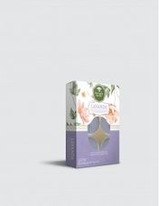 Velas Aromatizadas Lavanda Caixa com 6 - Floresta Verde