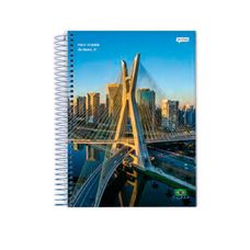 Caderno Espiral Universitário Capa Dura 10 Matérias 200 Folhas Harry Potter Jandaia - Capas Sortidas