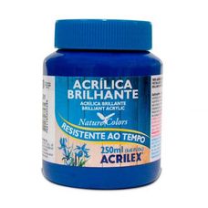 Tinta Acrílica Brilhante 250ml Azul Turquesa - Acrilex