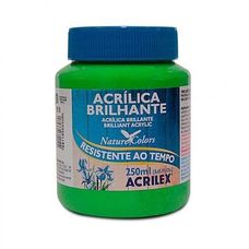 Tinta Acrilica Brilhante 250ml 510 Verde Folha 3325 Acrilex
