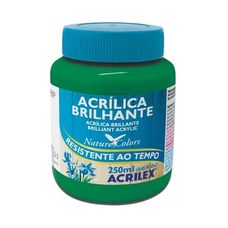 Tinta Acrilica Brilhante 250ml 513 Verde Musgo 3325 Acrilex