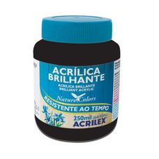 Tinta Acrílica Brilhante 250ml Preto - Acrilex