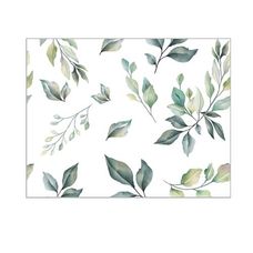 Plástico Adesivo Leotack Green Nature 45cmx10m - LeoArte