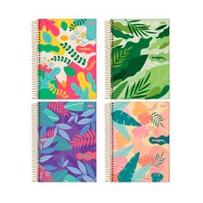 Caderno Univ C/D 1 Matéria 80F Eco Línea - Jandaia - Capas Sortidas