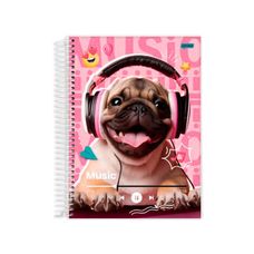 Caderno Espiral Capa Dura 1/4 80 Folhas Pet Jandaia - Capas Sortidas