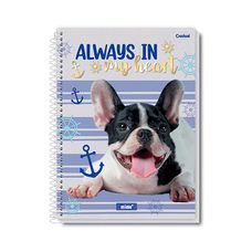 Caderno Espiral Universitário C/D 12x1 192F Mimo - Credeal - Capas Sortidas