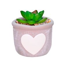 Vaso Decorativo Com Suculenta 33804-3 - Bras Continental