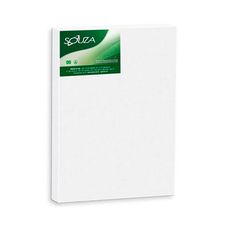 Tela Para Pintura 20x20 - Souza