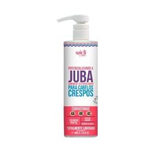 Gommage Texturizadora Widi Care Potencializando a Juba 480g