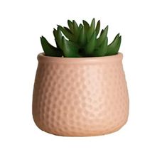 Vaso de Suculenta Artificial Dolomita 8,5x12cm Rosa - Paramount