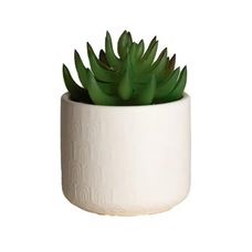 Vaso de Suculenta Artificial Cerâmica 7x10cm Branco - Paramount