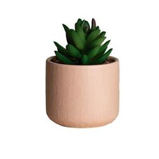 Vaso de Suculenta Artificial Cerâmica 7x10cm Rosa - Paramount