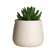 Vaso de Suculenta Artificial Dolomita 8,5x12cm Branco - Paramount