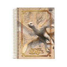 Caderno Espiral Universitário Capa Dura 10x1 Animais Fantásticos 160 Folhas - Jandaia - Capas Sortidas