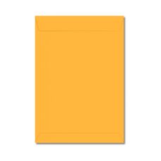 Envelope Saco Ouro 176mm x 250mm - Scrity