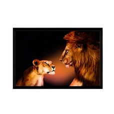 QUADRO 65X95 POSTER EMOLD FAMILIA ANI