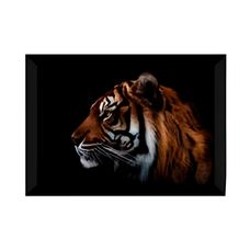 QUADRO 65X95 POSTER EMOLD MOTIVACAO