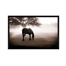 QUADRO 65X95 POSTER EMOLD ANIMAL