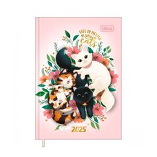 AGENDA COST PETIT P. CATS M3