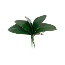 Folha Orquidea Com Arame Phalaenopsis X5 verde 28Cm