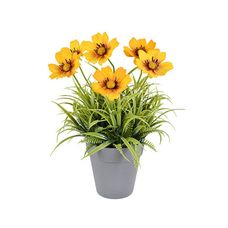 Arranjo Margarida X6 amarelo 56317-005