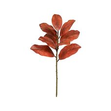 Galho Magnolia Real Toque X10 Ocre Outono 54cm - Florarte
