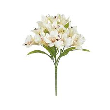 Bouquet Astromelia Cetim X15 Creme 34cm - Florarte