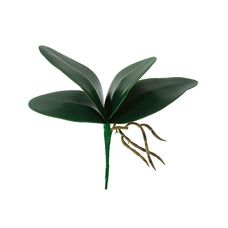 Folha Orquídea com Arame Phalaenopsis X4 Verde 26cm - Florarte