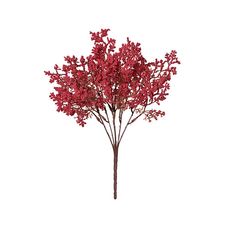 Bouquet Gypso X18 Beauty 33cm - Florarte