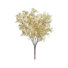 Bouquet Flor X150 Creme Outono 52cm - Florarte