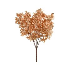 Bouquet Flor X150 Chá Outono 52cm - Florarte