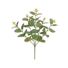 Folha Eucalipto X40 Verde Claro 35cm - Florarte