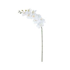 Haste Orquídea Phalaenopsis Real Toque X9 Branco 94cm - Florarte
