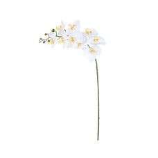Haste Orquídea Phalaenopsis Real Toque X9 Branco Amarelo 94cm - Florarte