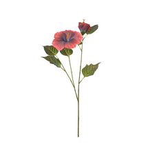 Haste Papoula Real Toque X2 Marsala Outono 66cm - Florarte