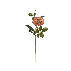 Haste Rosa Ocre Outono 66cm - Florarte