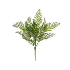 Folha Samambaia com Print Plástico X15 Verde 42cm - Florarte