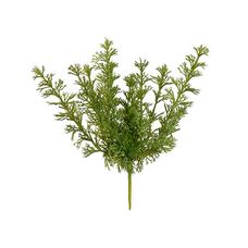 Folha Grass Real Toque X12 Verde 27cm - Florarte