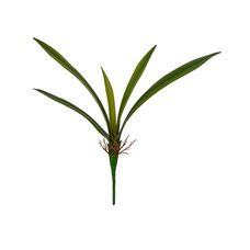 Folha Orquídea Cymbidium Real Toque X5 Verde 40cm - Florarte