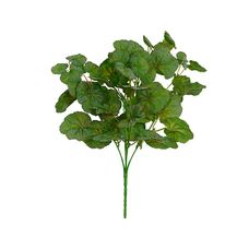 Folha Geranio Forração X60 Verde 38cm - Florarte