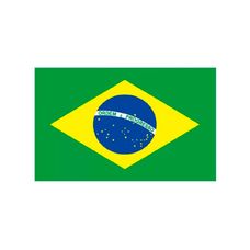 Acessório de Festa Temática Bandeira Brasil 90x60cm - Bazar Import