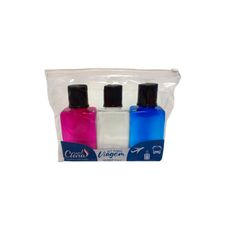 Kit Luxo de Frascos para Viagem 100ml - 3 Peças