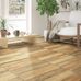 imagem do produto acessado