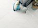 imagem do produto acessado