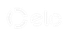 imagem representativa do método de pagamento elo
