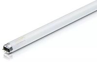 Lâmpada Tubular T8 - Led 120cm - Bivolt
