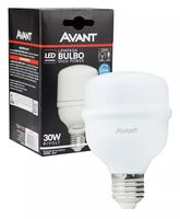 Lâmpada LED Bulbo 30W 6.500K Bivolt
