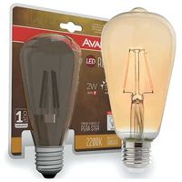 Lâmpada LED Filamento - 2W - 2200K - Bivolt