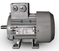 Motor Trifásico 2 Pólos  1CV