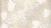 imagem do produto acessado
